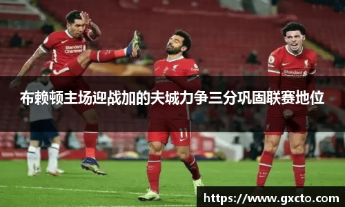 布赖顿主场迎战加的夫城力争三分巩固联赛地位